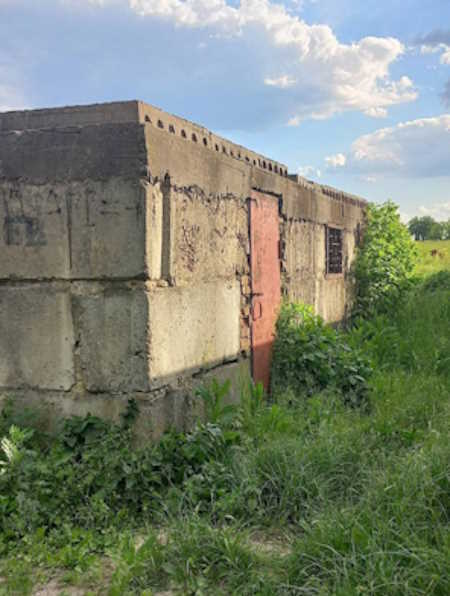 image4