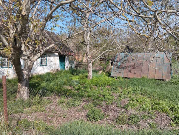 image4