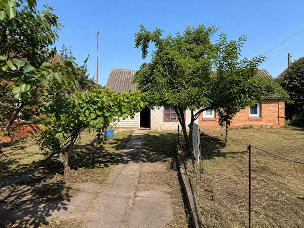 image4